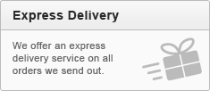 express delivery express delivery